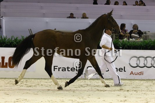 NADA BRAUN_MILANO_2010_SS3_4026.jpg